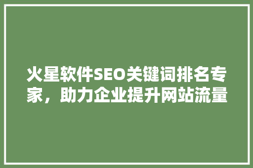 火星软件SEO关键词排名专家，助力企业提升网站流量与品牌知名度