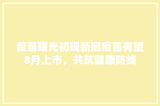 疫苗曙光初现新冠疫苗有望8月上市，共筑健康防线