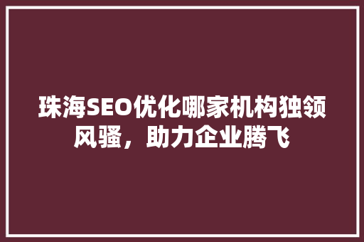 珠海SEO优化哪家机构独领风骚，助力企业腾飞