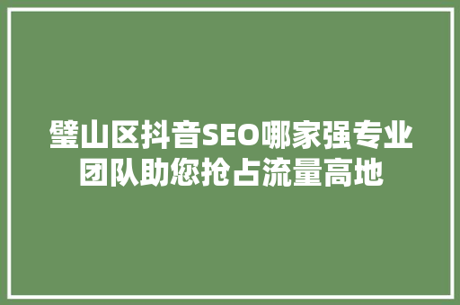 璧山区抖音SEO哪家强专业团队助您抢占流量高地