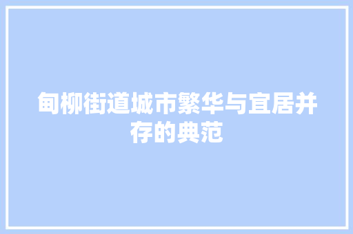 甸柳街道城市繁华与宜居并存的典范