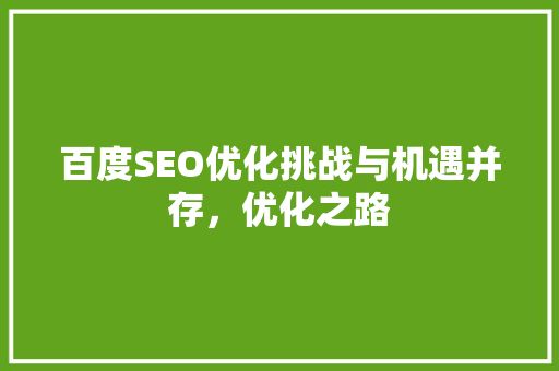 百度SEO优化挑战与机遇并存，优化之路