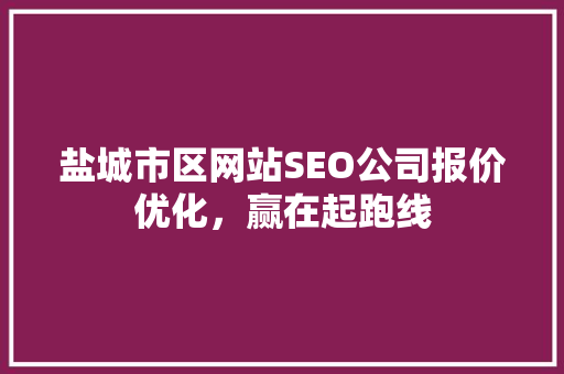 盐城市区网站SEO公司报价优化，赢在起跑线