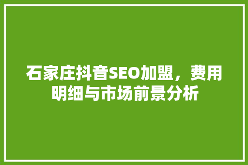 石家庄抖音SEO加盟，费用明细与市场前景分析