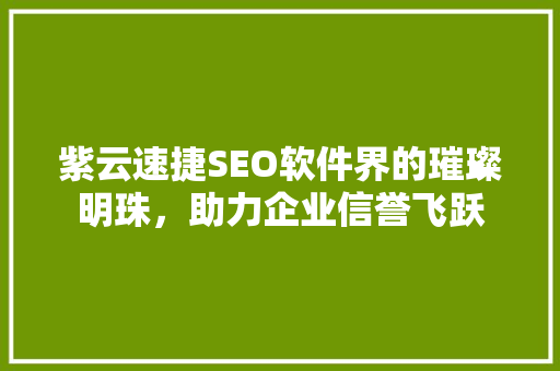 紫云速捷SEO软件界的璀璨明珠，助力企业信誉飞跃