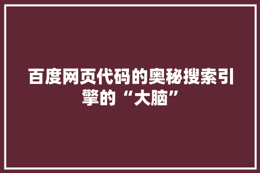 百度网页代码的奥秘搜索引擎的“大脑”