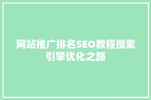 网站推广排名SEO教程搜索引擎优化之路