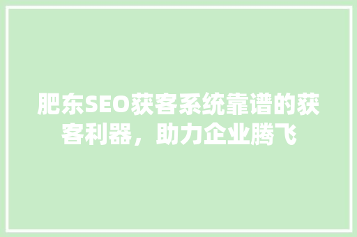 肥东SEO获客系统靠谱的获客利器，助力企业腾飞