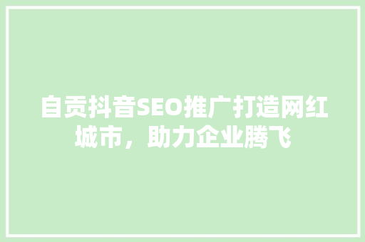自贡抖音SEO推广打造网红城市，助力企业腾飞