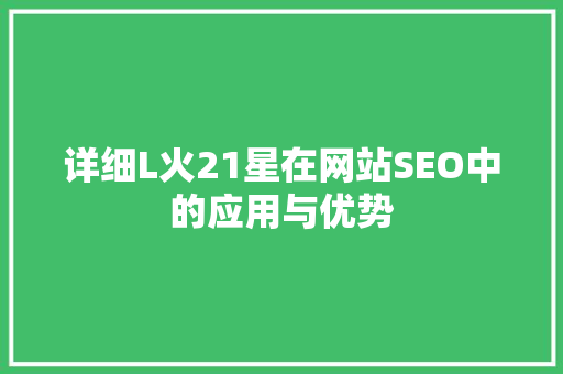 详细L火21星在网站SEO中的应用与优势
