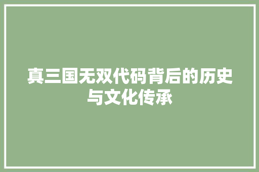 真三国无双代码背后的历史与文化传承