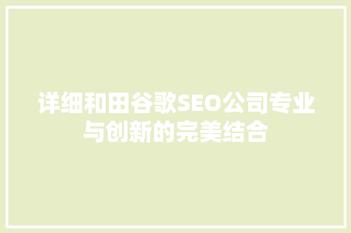 详细和田谷歌SEO公司专业与创新的完美结合