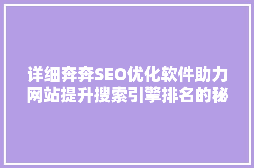 详细奔奔SEO优化软件助力网站提升搜索引擎排名的秘密武器
