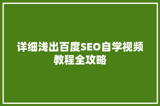 详细浅出百度SEO自学视频教程全攻略