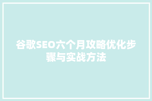 谷歌SEO六个月攻略优化步骤与实战方法