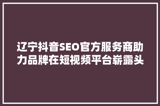 辽宁抖音SEO官方服务商助力品牌在短视频平台崭露头角
