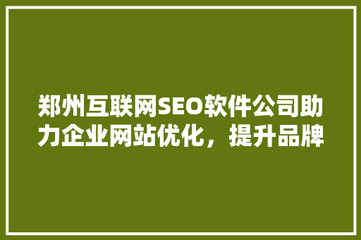 郑州互联网SEO软件公司助力企业网站优化，提升品牌影响力