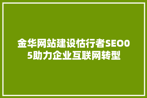 金华网站建设怙行者SEO05助力企业互联网转型
