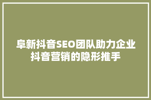 阜新抖音SEO团队助力企业抖音营销的隐形推手