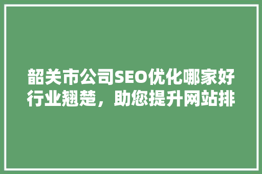 韶关市公司SEO优化哪家好行业翘楚，助您提升网站排名