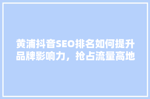 黄浦抖音SEO排名如何提升品牌影响力，抢占流量高地