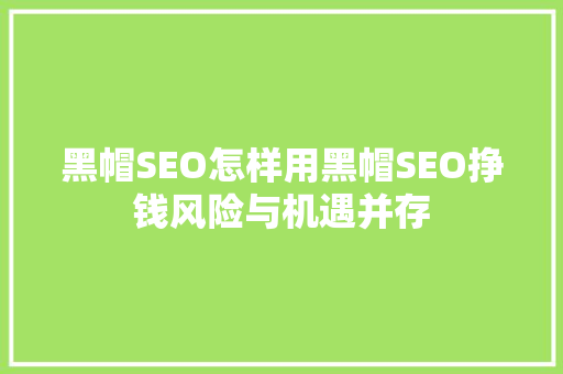 黑帽SEO怎样用黑帽SEO挣钱风险与机遇并存