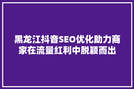 黑龙江抖音SEO优化助力商家在流量红利中脱颖而出