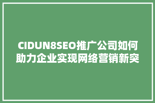CIDUN8SEO推广公司如何助力企业实现网络营销新突破