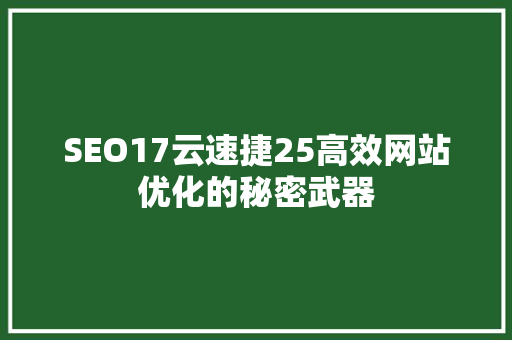 SEO17云速捷25高效网站优化的秘密武器
