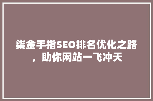 柒金手指SEO排名优化之路，助你网站一飞冲天