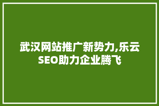 武汉网站推广新势力,乐云SEO助力企业腾飞