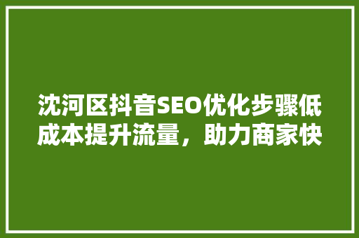 沈河区抖音SEO优化步骤低成本提升流量，助力商家快速崛起
