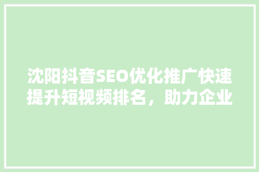 沈阳抖音SEO优化推广快速提升短视频排名，助力企业品牌崛起