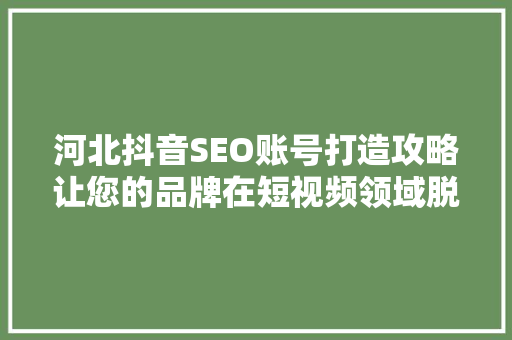河北抖音SEO账号打造攻略让您的品牌在短视频领域脱颖而出