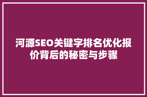 河源SEO关键字排名优化报价背后的秘密与步骤