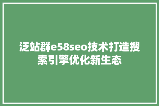 泛站群e58seo技术打造搜索引擎优化新生态