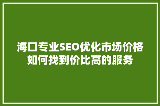 海口专业SEO优化市场价格如何找到价比高的服务
