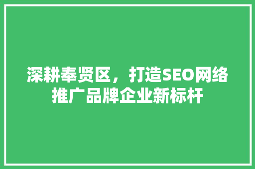 深耕奉贤区，打造SEO网络推广品牌企业新标杆