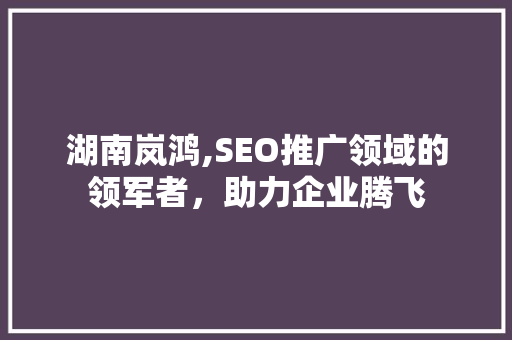 湖南岚鸿,SEO推广领域的领军者，助力企业腾飞