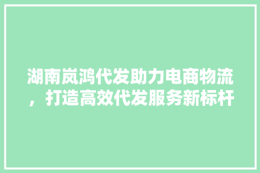 湖南岚鸿代发助力电商物流，打造高效代发服务新标杆