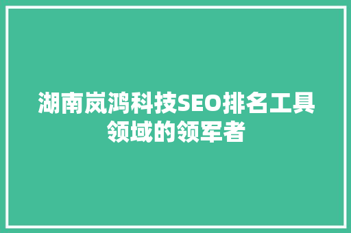 湖南岚鸿科技SEO排名工具领域的领军者