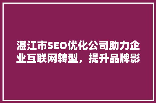 湛江市SEO优化公司助力企业互联网转型，提升品牌影响力