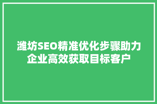 潍坊SEO精准优化步骤助力企业高效获取目标客户