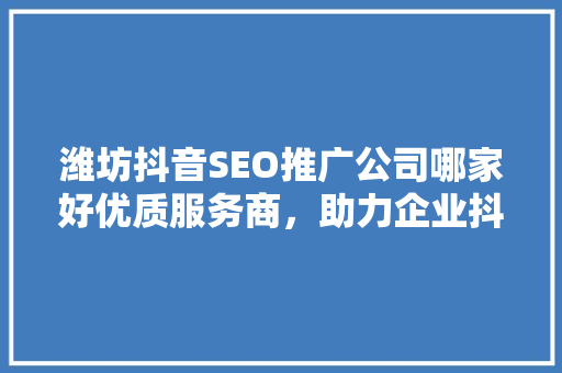 潍坊抖音SEO推广公司哪家好优质服务商，助力企业抖音营销腾飞