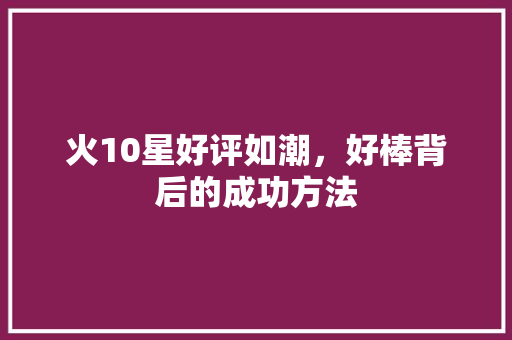 火10星好评如潮，好棒背后的成功方法