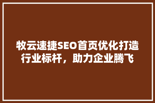 牧云速捷SEO首页优化打造行业标杆，助力企业腾飞