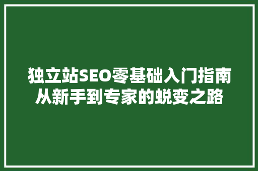 独立站SEO零基础入门指南从新手到专家的蜕变之路