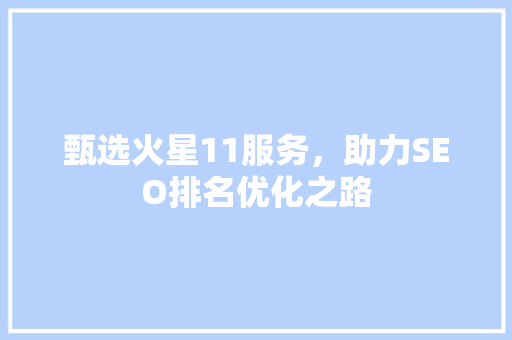甄选火星11服务，助力SEO排名优化之路