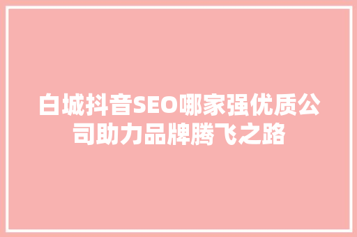 白城抖音SEO哪家强优质公司助力品牌腾飞之路