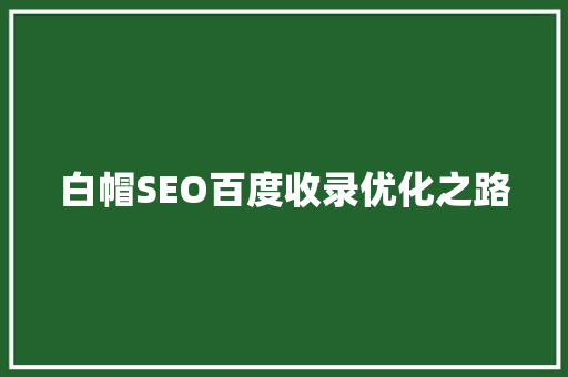白帽SEO百度收录优化之路